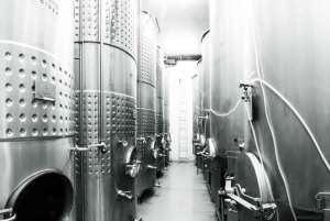 Sunshine Coast: Explore the Art of Cider & Champagne Making