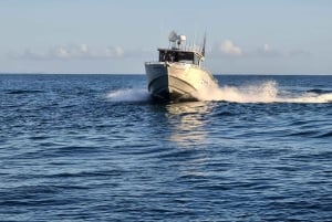Sunshine Coast: Fisketure