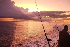 Sunshine Coast: Fisketure