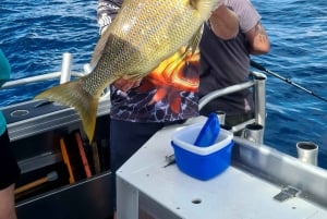 Sunshine Coast: Fisketure