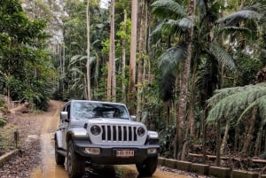 Sunshine Coast: Privat 4WD Jeep-tur i Hinterland Adventure