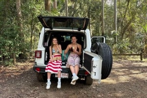 Sunshine Coast: Privat 4WD Jeep-tur i Hinterland Adventure