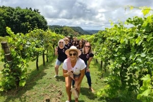 Sunshine Coast Hinterland Käse-, Wein- und Foodtour