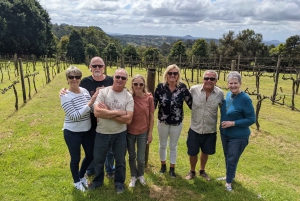 Tour gastronómico, vinícola y del queso del interior de Sunshine Coast