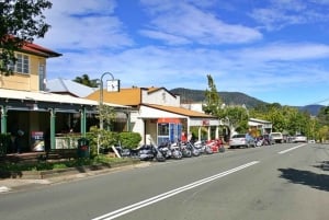 Sunshine Coast: Hinterland Country Drive Tour Inc. Lunch