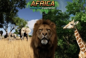 Sunshine Coast: Hologram Zoo Africa Adventure
