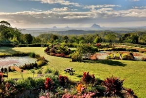 Sunshine Coast: Maleny Gardens & Rainforest Tour with Lunch