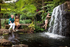 Sunshine Coast: Maleny Gardens & Rainforest Tour with Lunch