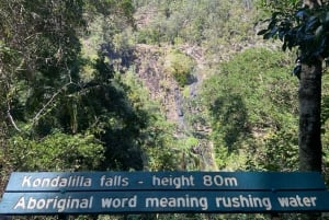 Sunshine Coast: Maleny Village and Kondalilla Falls Tour