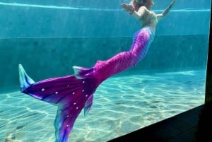 Sunshine Coast: Mermaid Swim Experience