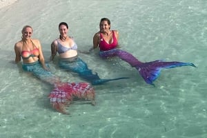 Sunshine Coast: Mermaid Swim Experience