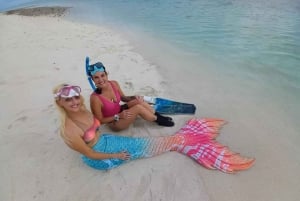 Sunshine Coast: Mermaid Swim Experience