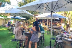 Sunshine Coast: Noosa Everglades, Hinterland & Boat Cruise: Noosa Everglades, Hinterland & Boat Cruise