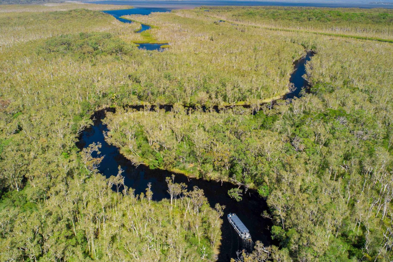 Solkysten: Noosa Everglades, bagland og bådcruise