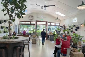 Sunshine Coast: Noosa Everglades, Hinterland & Boat Cruise: Noosa Everglades, Hinterland & Boat Cruise