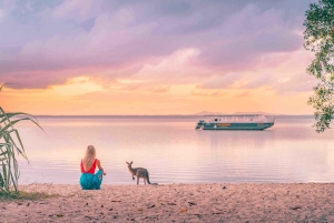 Sunshine Coast: Noosa Everglades, Hinterland & Boat Cruise: Noosa Everglades, Hinterland & Boat Cruise