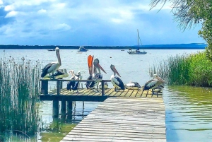 Sunshine Coast: Noosa Everglades, Hinterland & Boat Cruise: Noosa Everglades, Hinterland & Boat Cruise