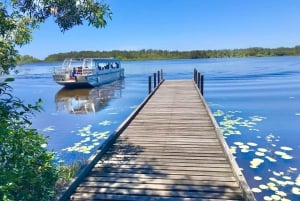 Sunshine Coast: Noosa Everglades, Hinterland & Boat Cruise: Noosa Everglades, Hinterland & Boat Cruise