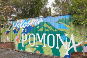 Sunshine Coast: Noosa Everglades, Hinterland & Boat Cruise: Noosa Everglades, Hinterland & Boat Cruise