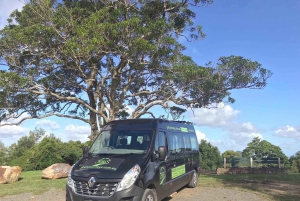 Sunshine Coast: Noosa Everglades, Hinterland & Boat Cruise: Noosa Everglades, Hinterland & Boat Cruise