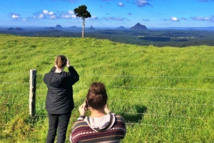 Sunshine Coast & Noosa Highlights Tour: Maleny and Montville