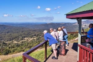 Excursión por los lugares más destacados de Sunshine Coast y Noosa: Maleny y Montville