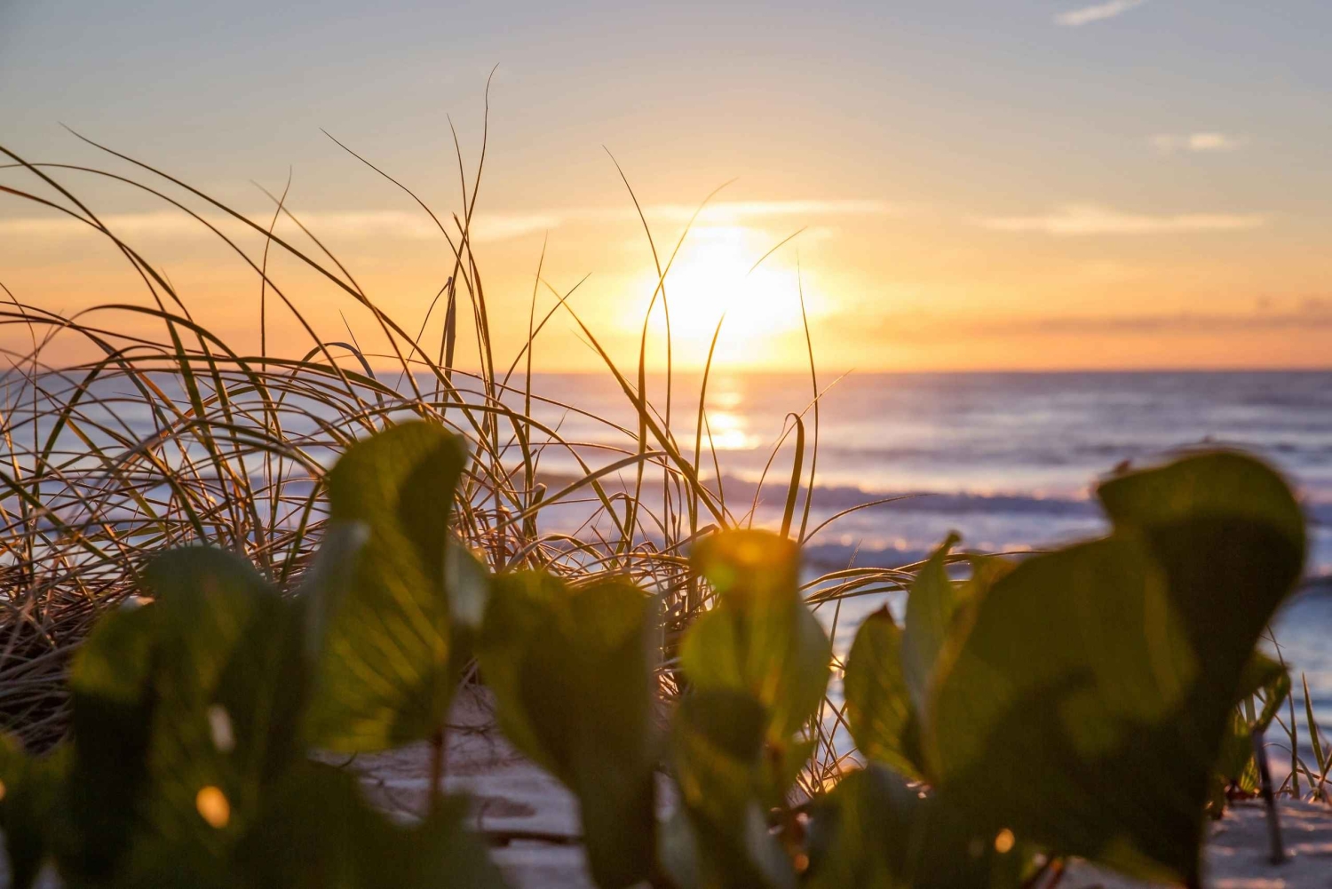 Sunshine Coast: Private Customizable Day Tour