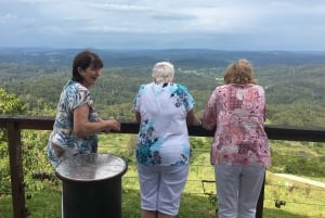 Sunshine Coast: Wijntour met lunch voor privégroep