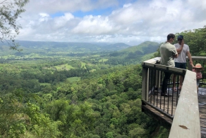Sunshine Coast: Rainforest, Views, and Montville Day Tour