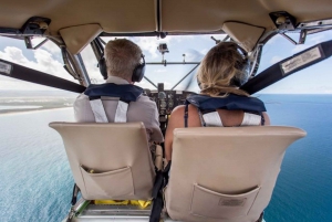 Sunshine Coast: River Dash Seaplane Adventure + Book