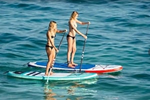Sunshine Coast: Stand-Up Paddleboard Rental & Lesson