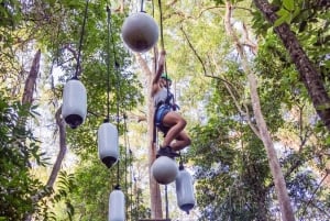 Sunshine Coast: Avonturenpark Treetop Challenge