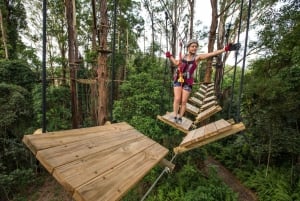 Sunshine Coast: Avonturenpark Treetop Challenge