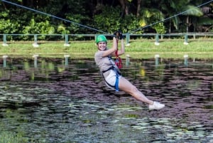Sunshine Coast: Avonturenpark Treetop Challenge