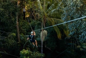 Sunshine Coast: Avonturenpark Treetop Challenge