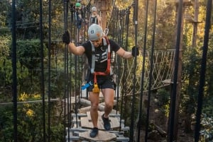 Sunshine Coast: Avonturenpark Treetop Challenge