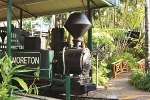 Sunshine Coast: The Ginger Factory Play Taste & Discover