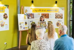 De Sunshine Coast: The Ginger Factory Spelen Proeven & Ontdekken