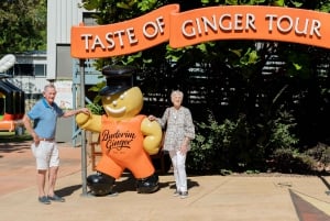 La Sunshine Coast : Visite et dégustation de l'usine de gingembre