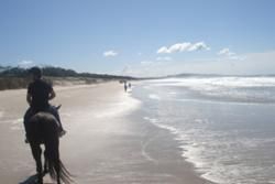 Noosa North Shore