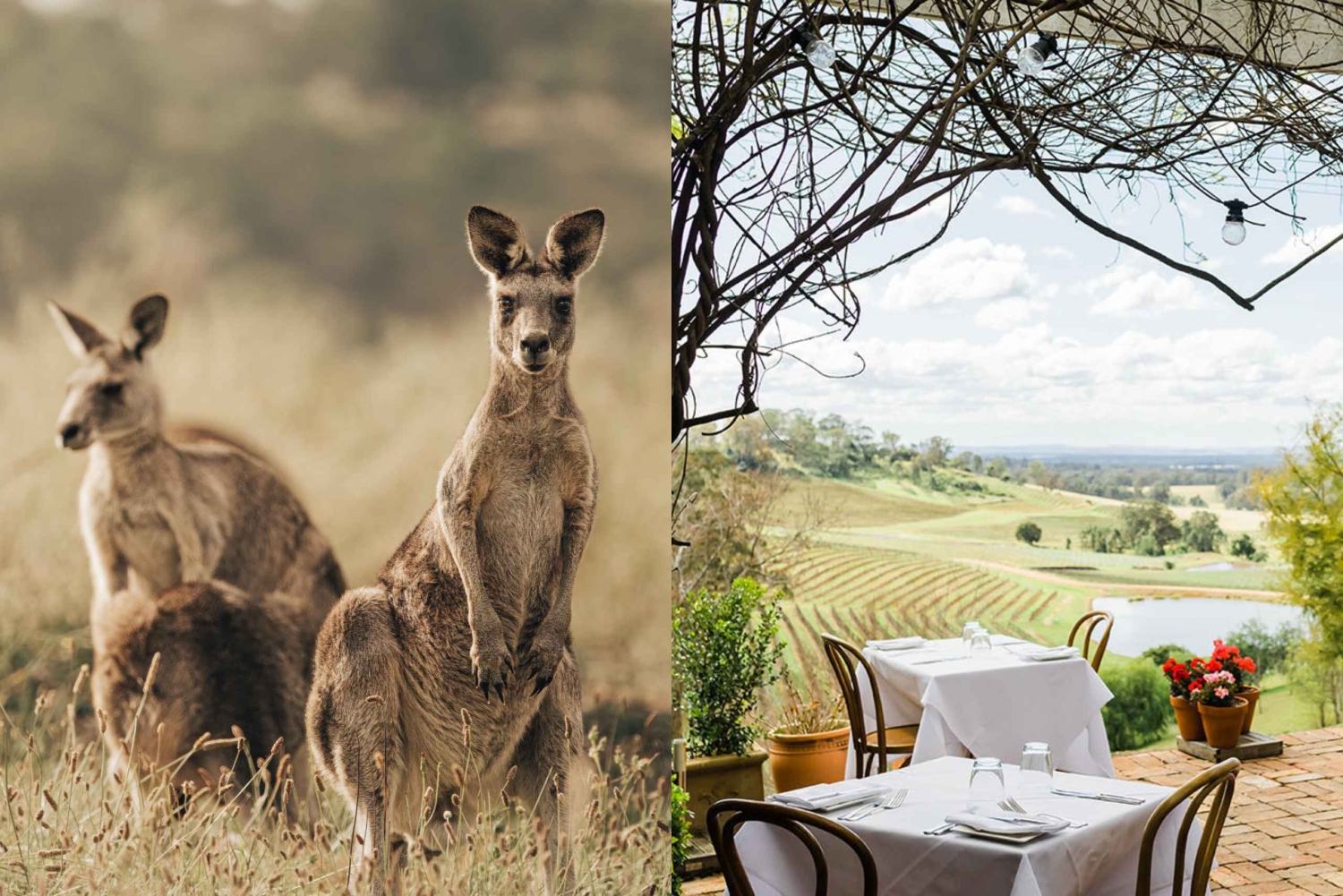 Sydney: Aboriginal Heritage, Colonial History and Wines Tour