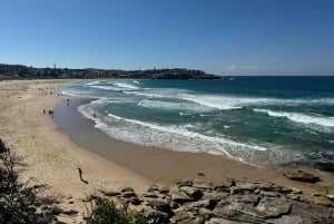 1/2 journée de visite touristique à Sydney et visite de Bondi Beach