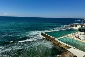 1/2 dag Sydney Sightseeingtour en Bondi Beach Tour