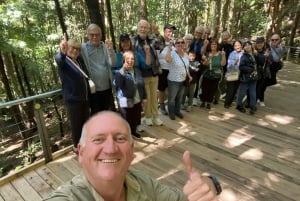 #1 Blue Mountains tour Scenic World Waterfalls Wildlife Park
