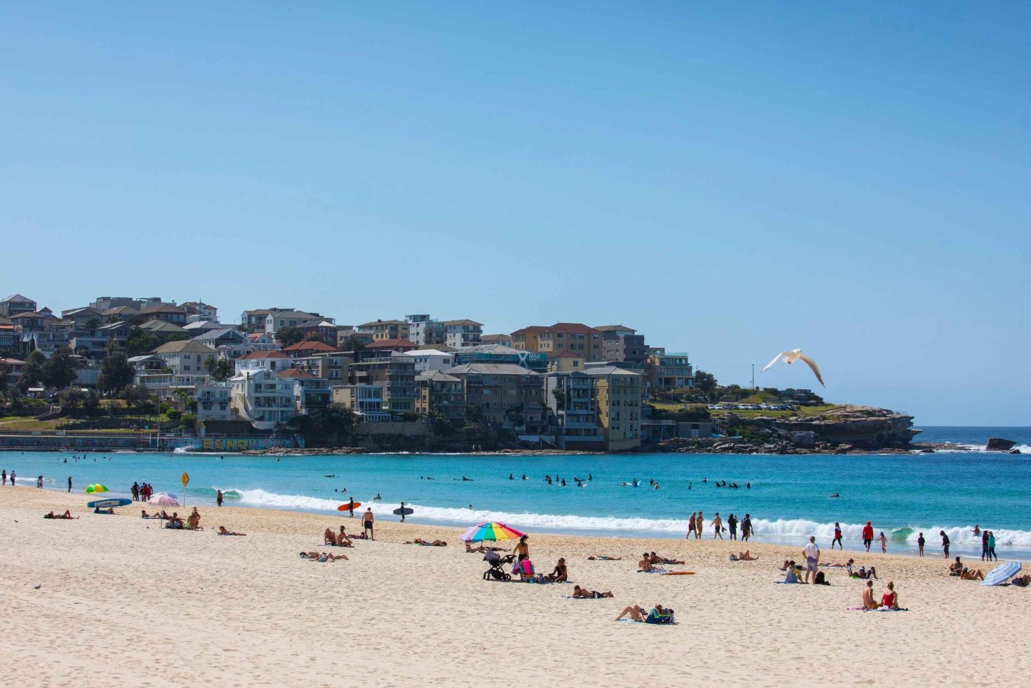11:30AM Sydney Airport-Hotel transfer with Bondi Tour
