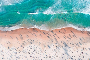 2hr Bondi Offshore Express Cruise