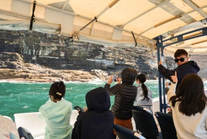 2hr Bondi Offshore Express Cruise