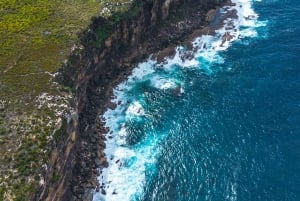 9:30AM シドニー空港～ホテル送迎（市内半日観光ツアー付き）