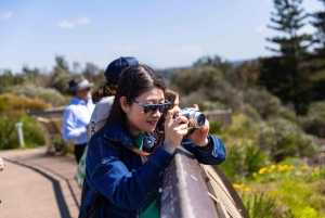 9:30AM シドニー空港～ホテル送迎（市内半日観光ツアー付き）