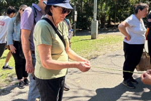 Excursão a pé pela comida e cultura australianas em Sydney (almoço e vinho)